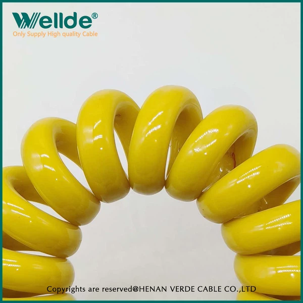 IMG20231204144101 IMG20231204144101